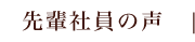 先輩社員の声